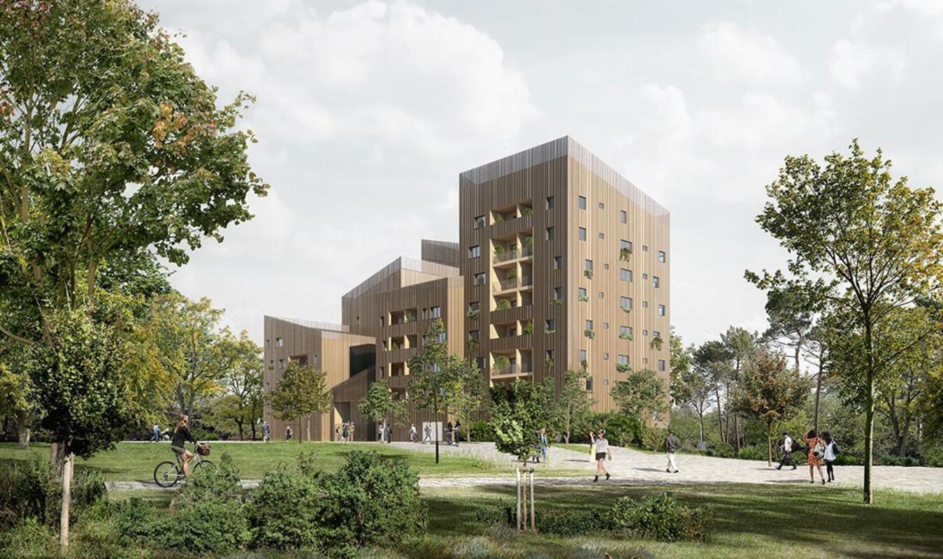 Les bois à Angers