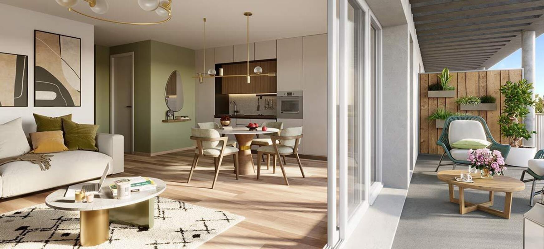 Les cèdres à Angers